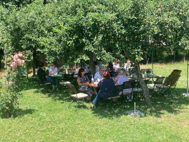 Teamgespräche der Mitarbeiter:innen im Garten unter Bäumen im Schatten